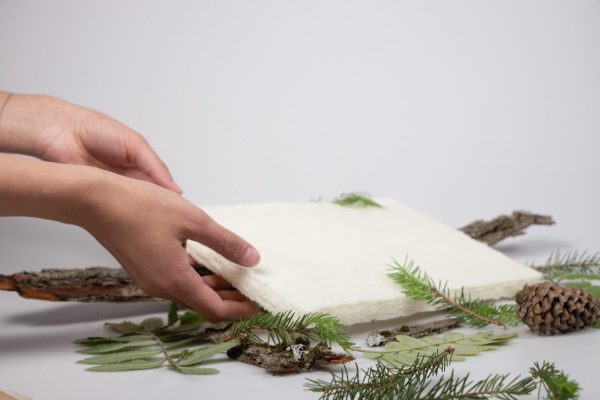 Hands holding bio-based, temporary mattress material for emergency situations. Spruce branches and cones as decoration on the table.