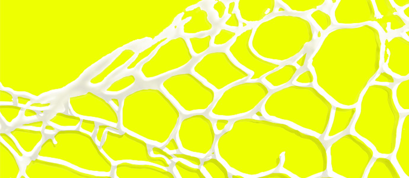 Yellow background with white net-like pattern on it. Design by Sonja Dallyn.