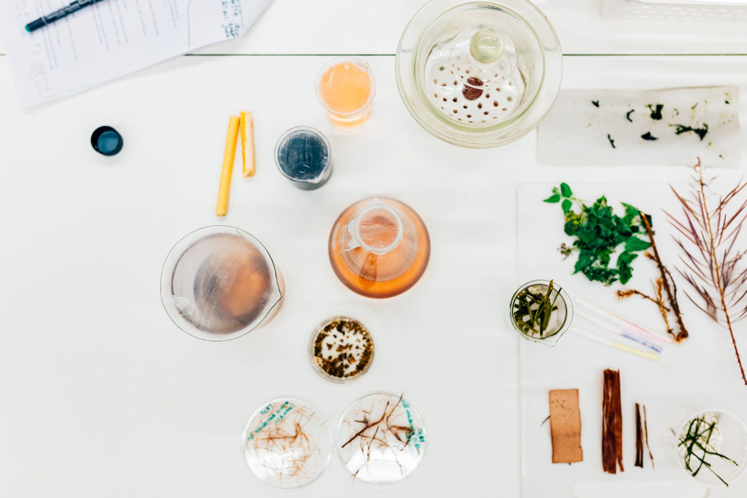 CHEMARTS material samples on a lab table