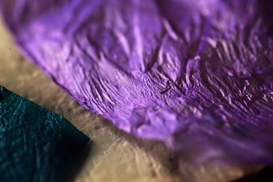 Eri värisiä bakteeriselluloosanäytteitä