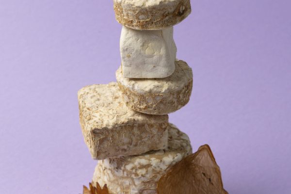 Bacterial cellulose and Mycelium samples by BioMakerStudio. Photographer Esa Kapila, Aalto University