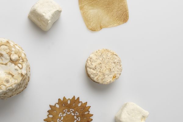 GrownMaterials_photographer_EsaKapila_AaltoUniversity_LR copy